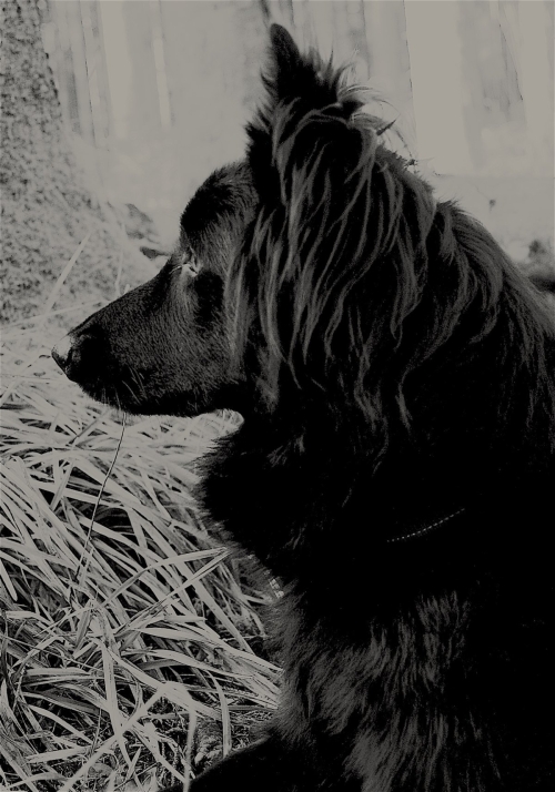 Promenade éducative 30 minutes 